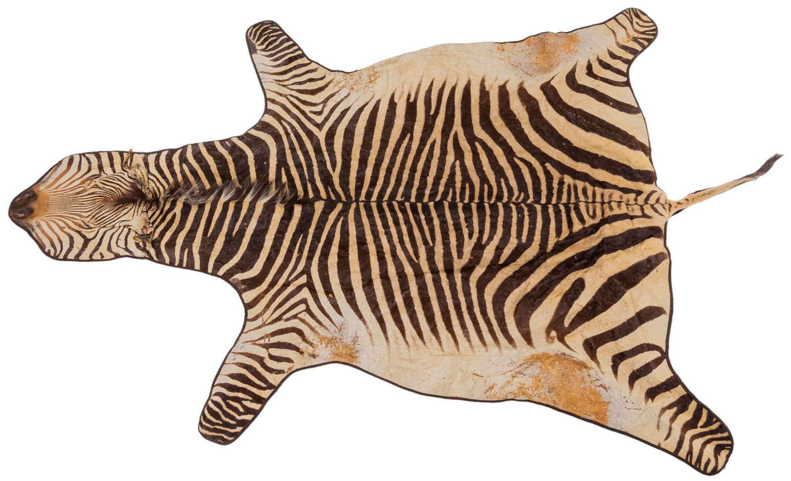 Zebra Hide Rug (1 of 4)