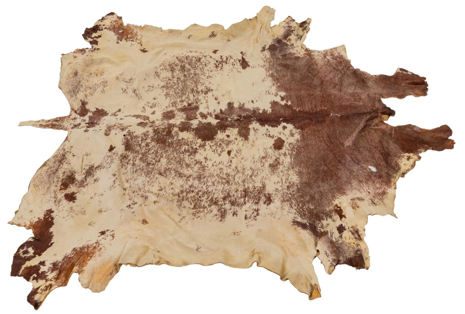 Speckled Cowhide Rug (1 of 3)