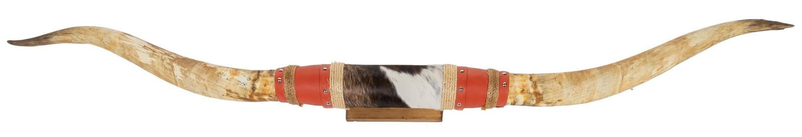 Longhorn Horn Mount (1 of 5)