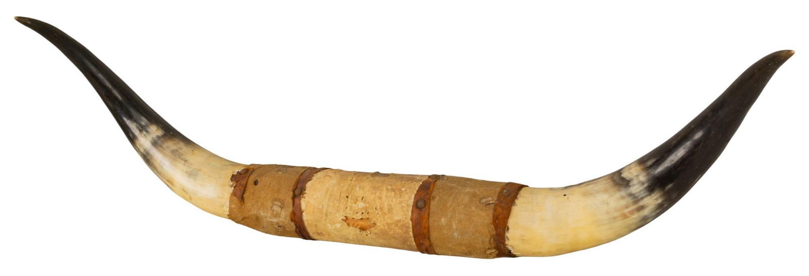 Vintage Longhorn Mount Display (1 of 5)