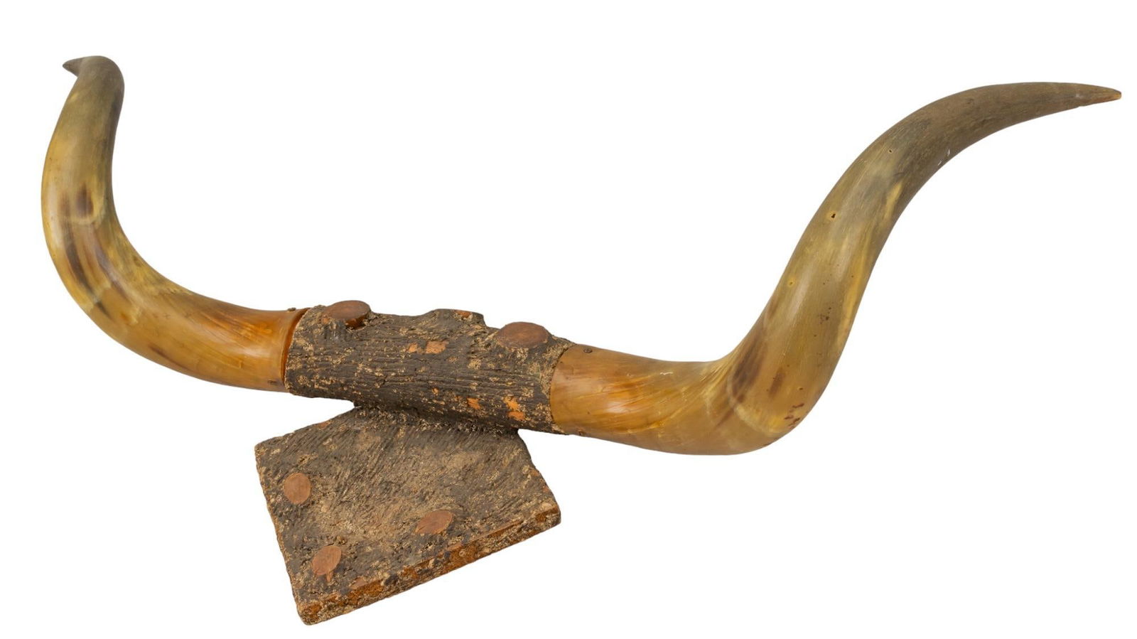 Vintage Longhorn Mount Display (1 of 5)