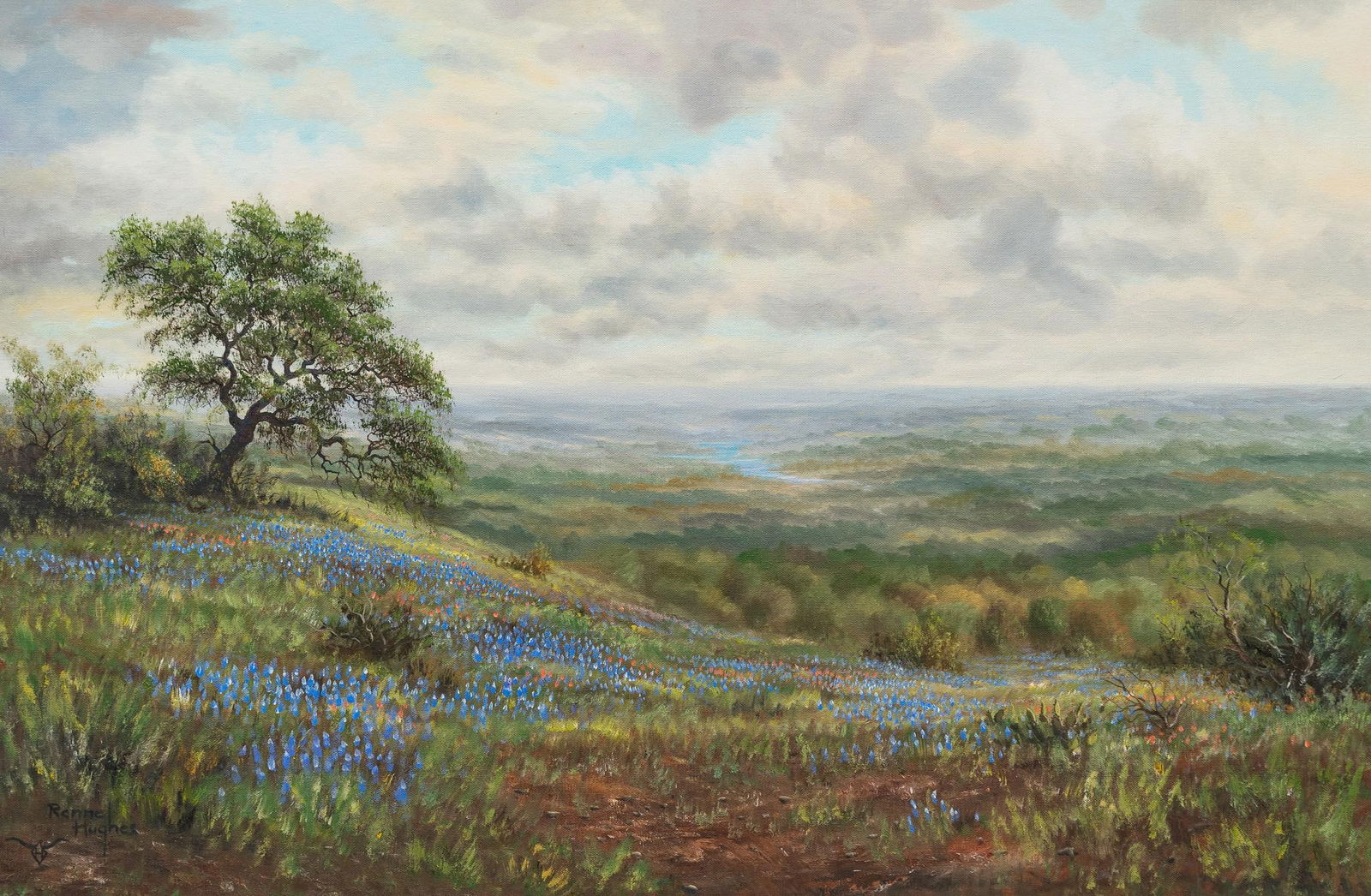 Renne Hughes, Hill Country Meadow (1 of 4)