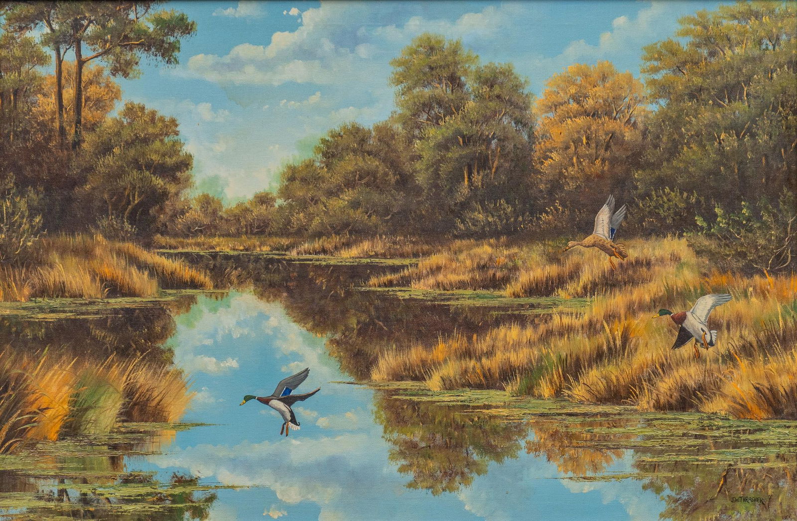 J. W. Thrasher, Ducks in Flight (1 of 4)