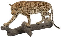 Full Body Leopard Mount on Faux Wood Base