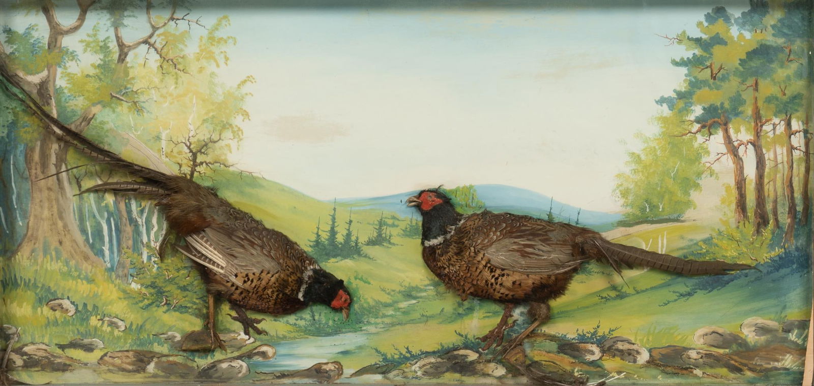 Taxidermy Pheasant Painting (1 of 4)