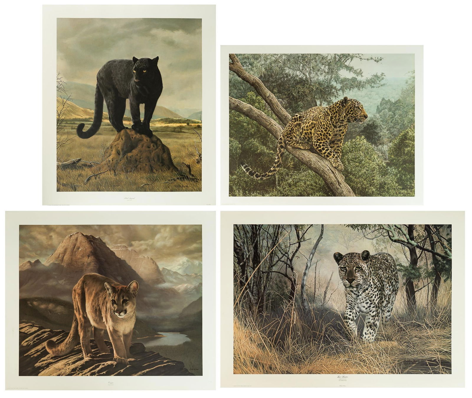 (4) Lithographs inc. Charles Frace (1 of 20)