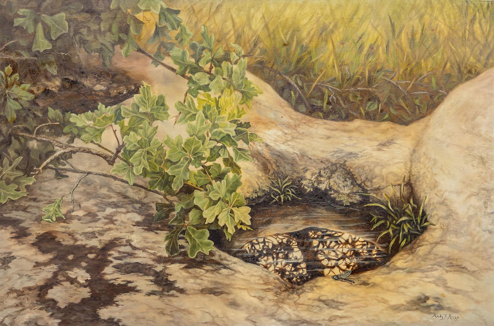 Ruby Rizzo, Hill Country Greenery (1 of 6)