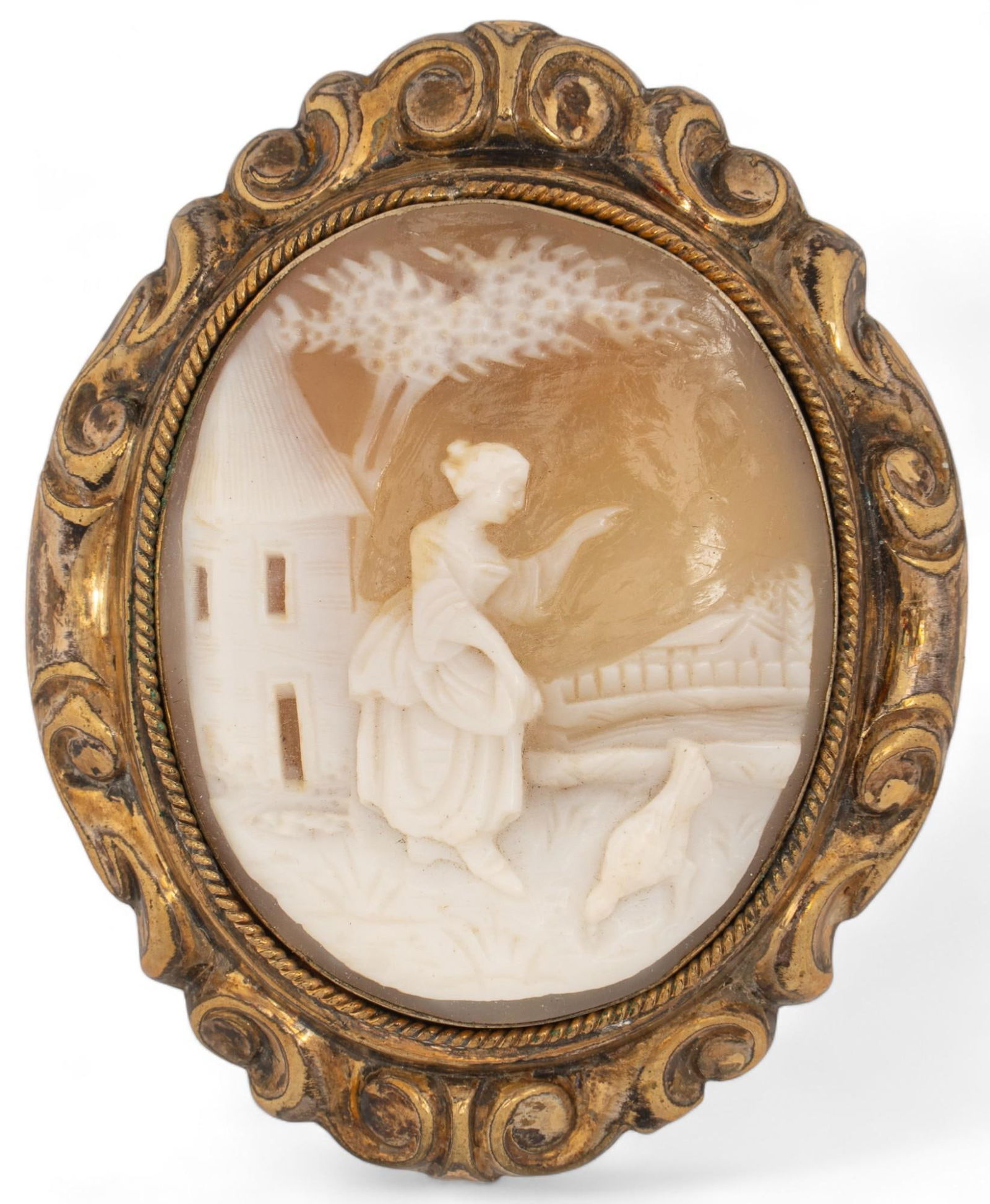 Antique 12K Gold Shell Cameo Brooch (1 of 5)