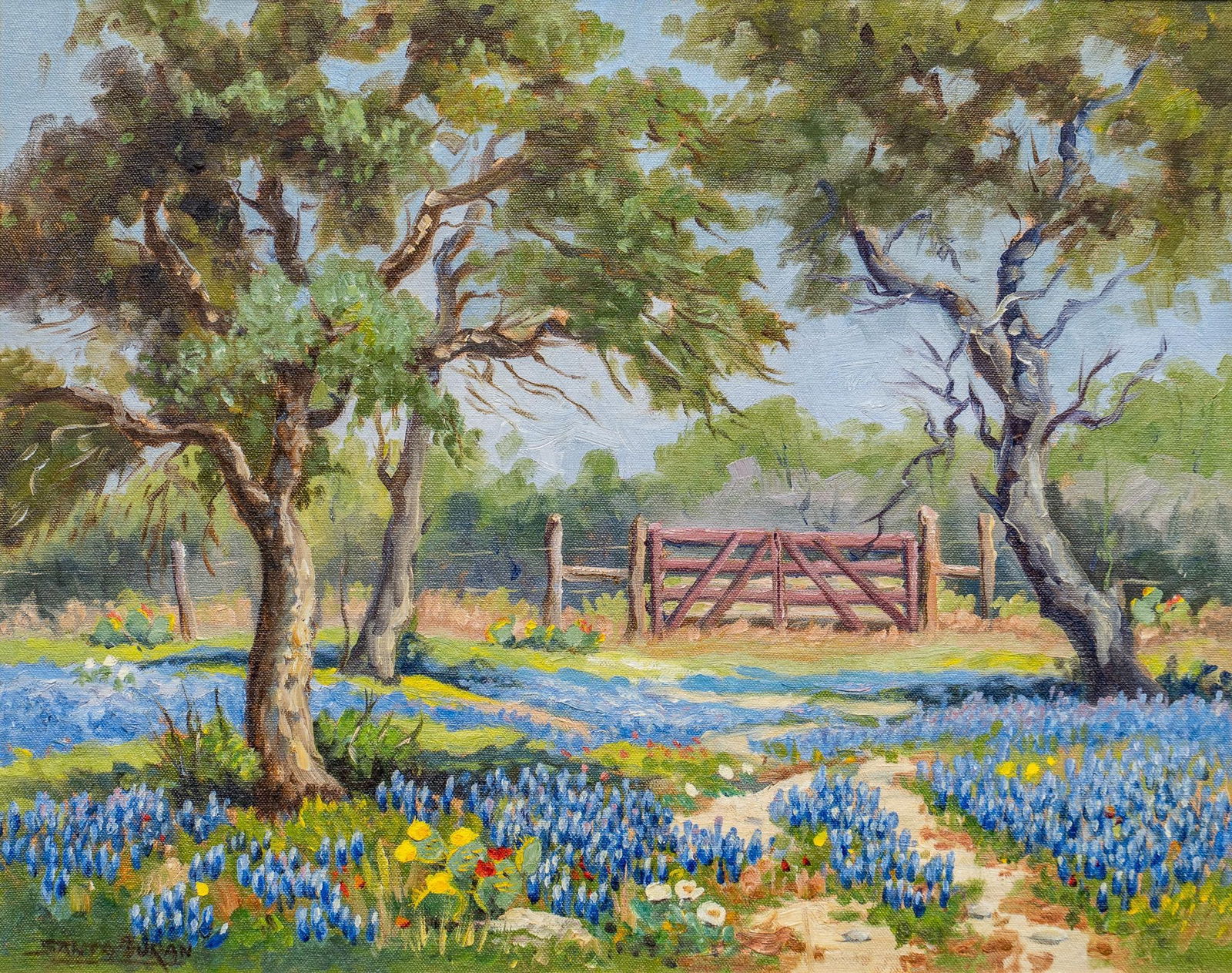 Santa Duran, Hill Country Bluebonnets (1 of 5)