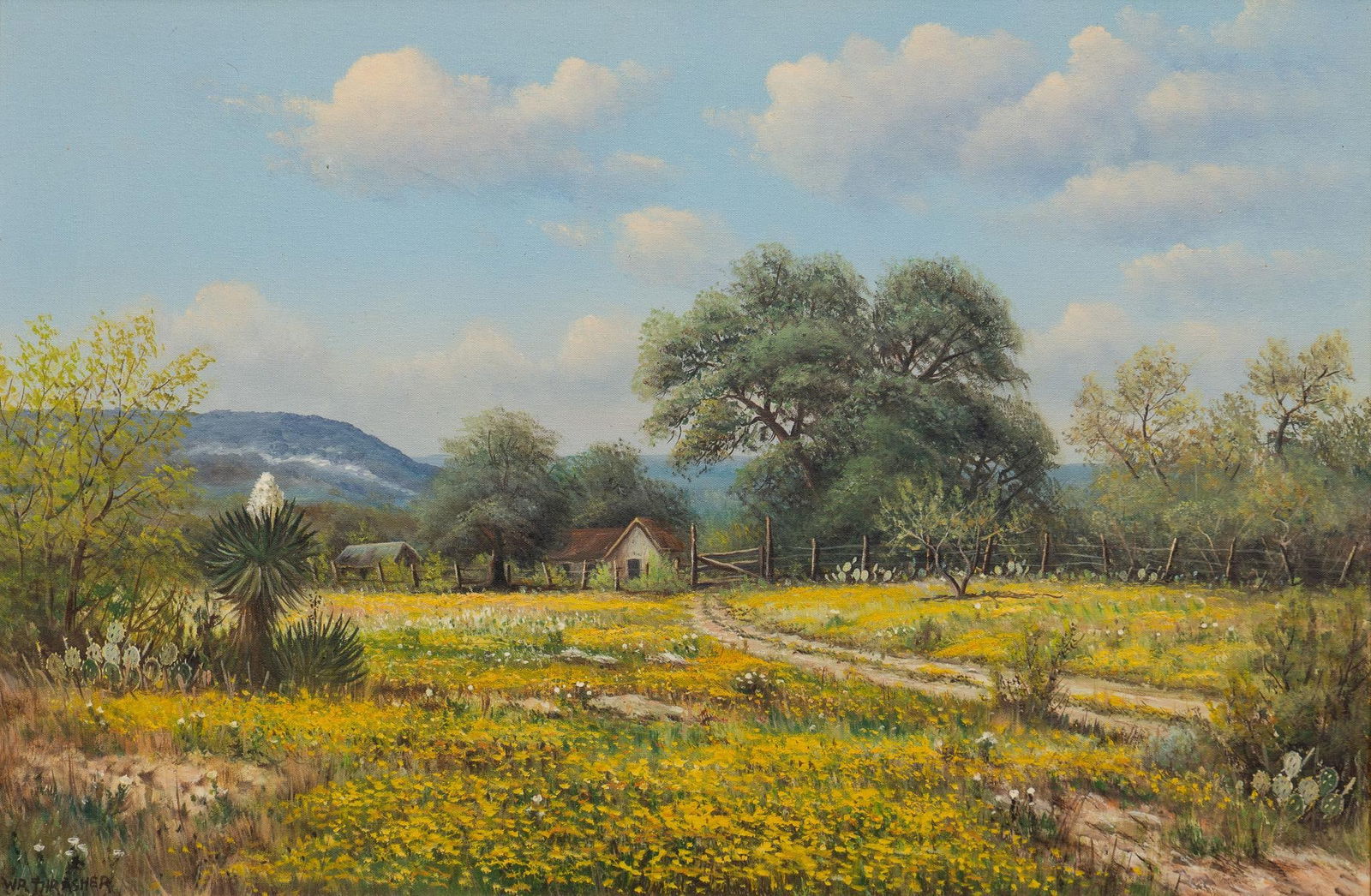 W. R. Thrasher, Coreopsis Field (1 of 5)