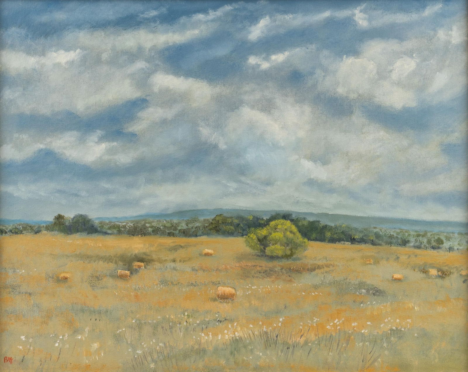 Brian St. John, "South of Bulverde", 2009-2021 (1 of 5)