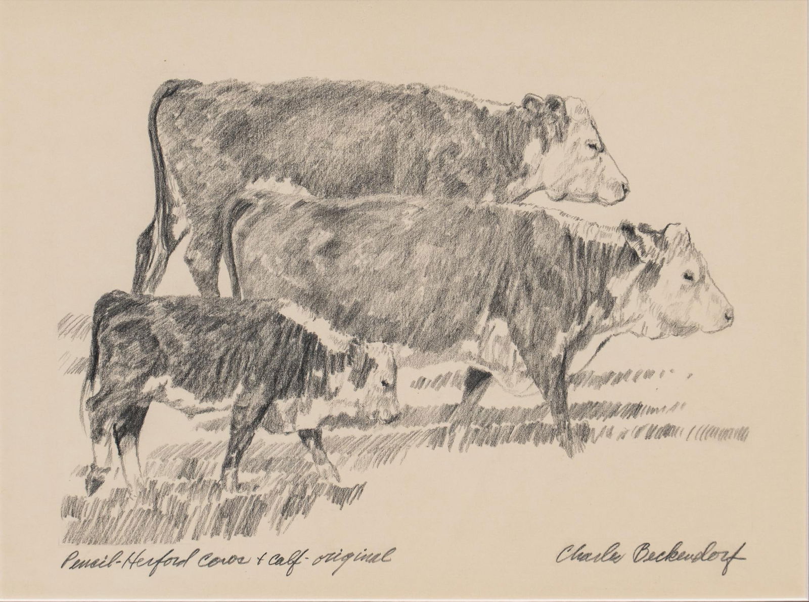 Charles Beckendorf, "Hereford Cow and Calf" (1 of 5)