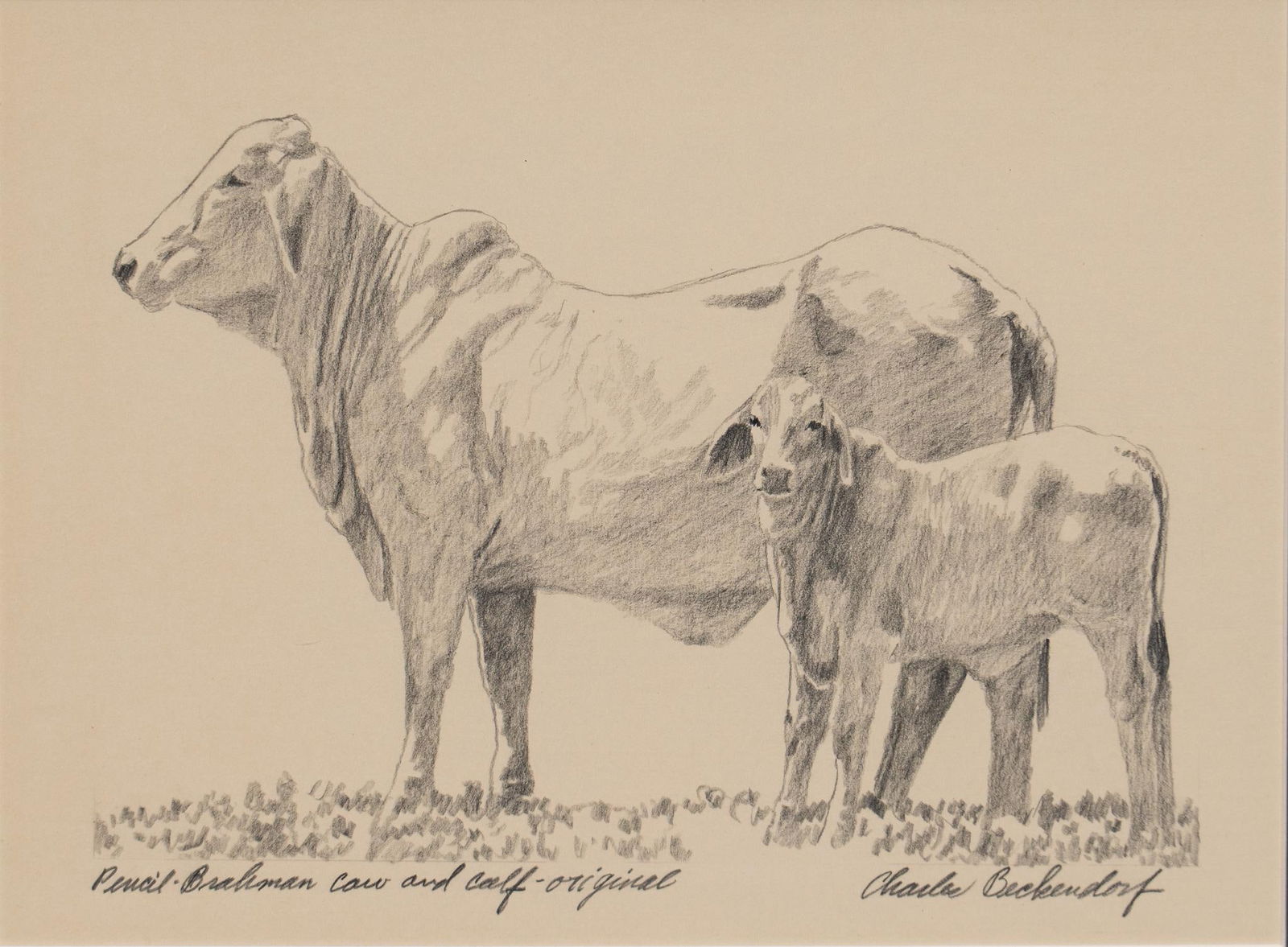 Charles Beckendorf, "Brahma Cow and Calf" (1 of 5)