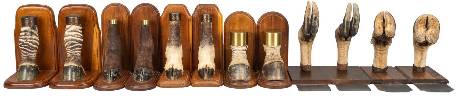 (6) Pairs of Animal Hoof Bookends: Six pairs of animal hoof bookends, animal hoofs mounted onto wood to create bookends, animals include zebra, deer, and elk height 12 in. x width 7 in. x depth 8.5 in. / largest Provenance: Property