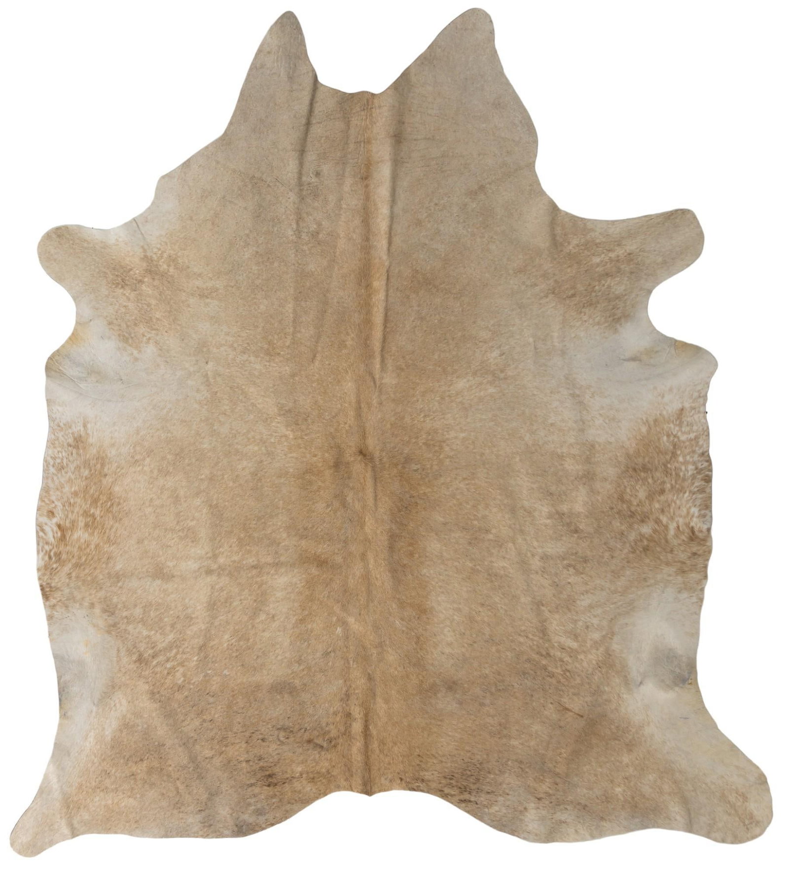 Cowhide Rug: Cowhide rug 7 ft. 6 in. x 7 ft. Shipping available for this lot through our partner 4CL; please request a shipping quote at shipping@vogtauction.com or 210-971-5750. You may also opt for a shipper