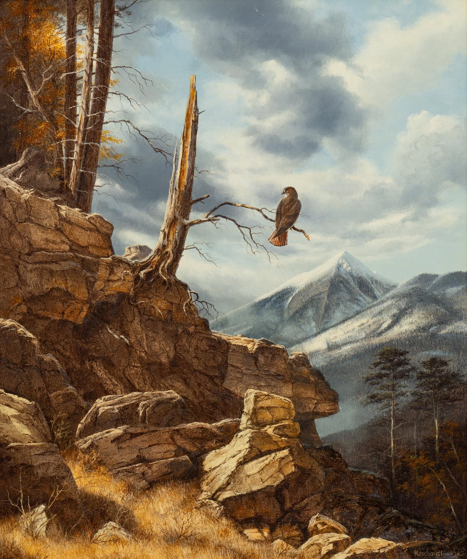 Rudi Reichardt, "Red Tail Hawk": Rudi Reichardt (Canada, b. 1929), "Red Tail Hawk", oil on masonite sight: 20 x 24 in., frame: 33.5 x 28.5 in. Provenance: Purchased from the artist's Arizona studio in 1988; thence hung in