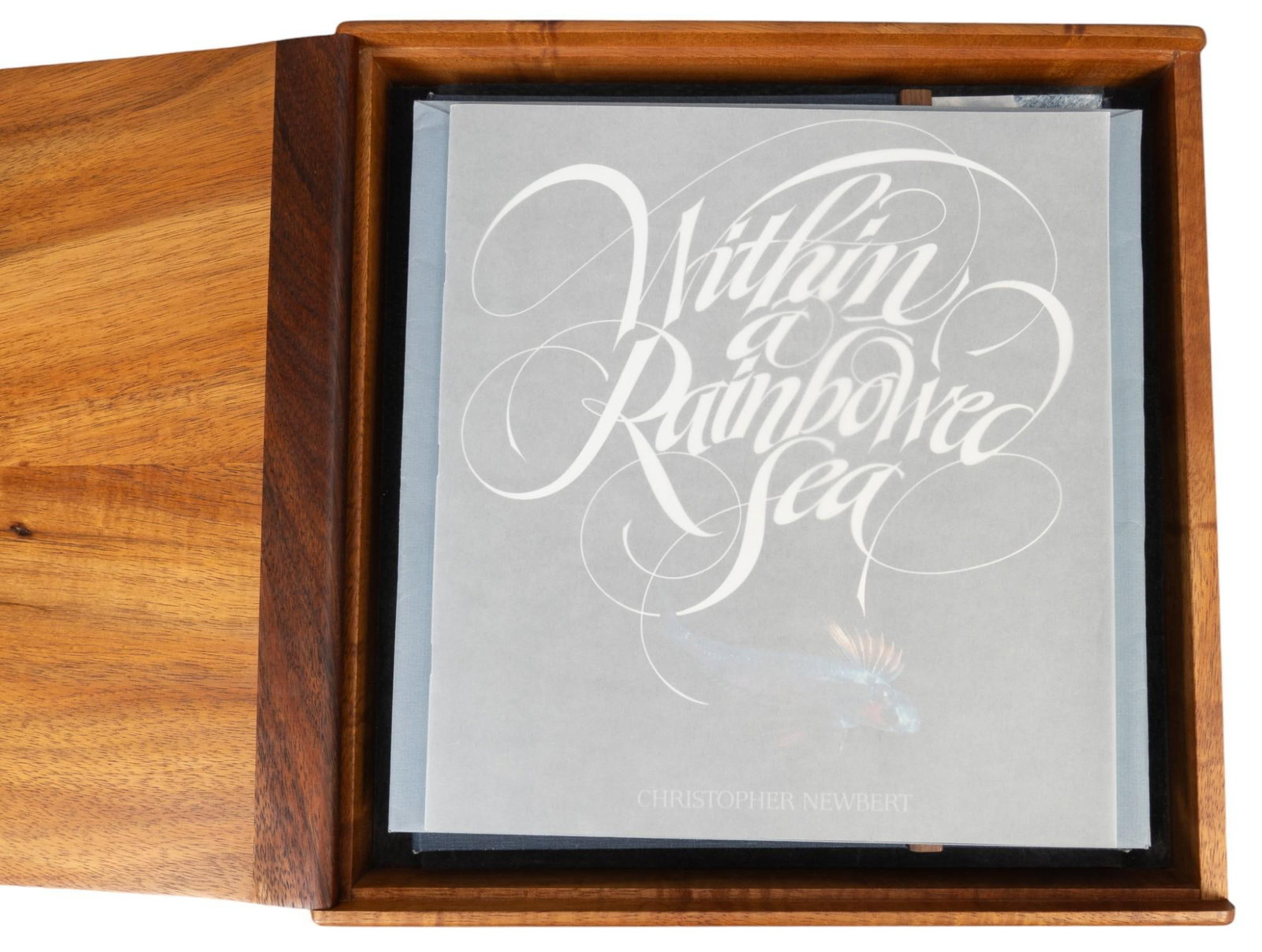 Within the Rainbowed Sea Book in Collectors Box: Within the Rainbowed Sea book by Christopher Newbert, deep sea photography book, includes collectors box accessories, signed by author and all contributors height 3 in. x width 14.5 in. x depth 15 in.