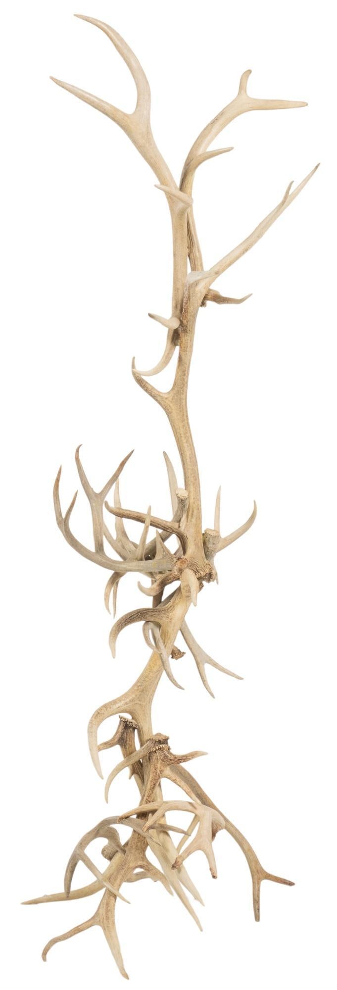 Antler Rack: Ranch style coat rack, featuring arranged assortment of deer, and elk antlers height 88.5 in. x width 32 in. x depth 37 in. Provenance: Property from the monumental lifetime collection of a distingu