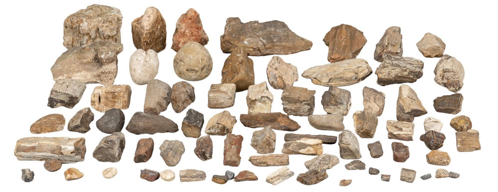 Collection of Fossils: Collection of fossils Provenance: Property from the estate of a Vero Beach, Florida lady height 5 in. x width 6 in. x depth 4 in. / largest piece Shipping available for this lot through our partner