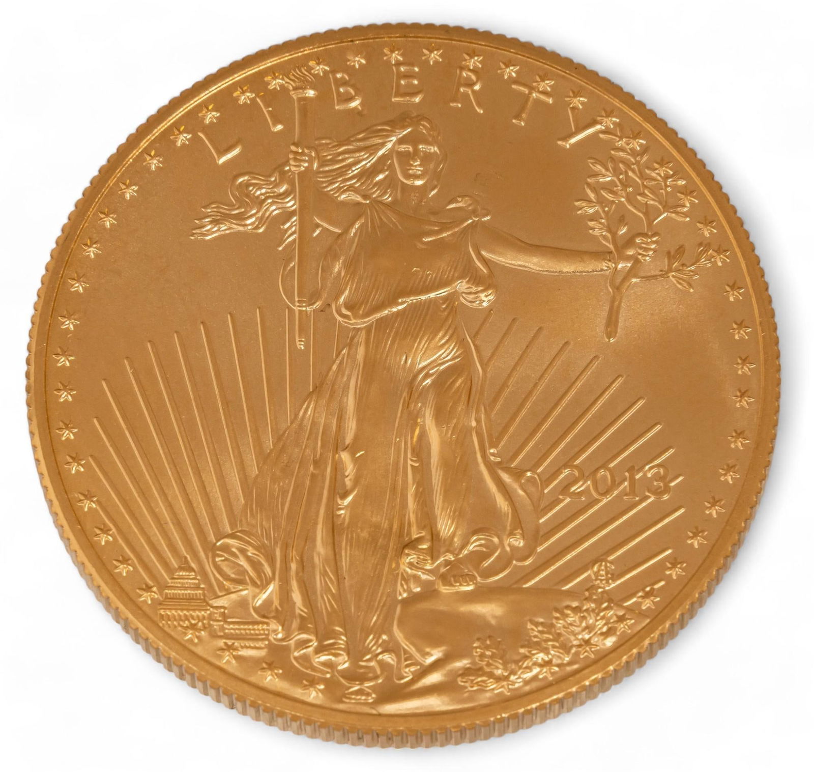 2013 $50 American Gold Eagle Coin (1 of 2)