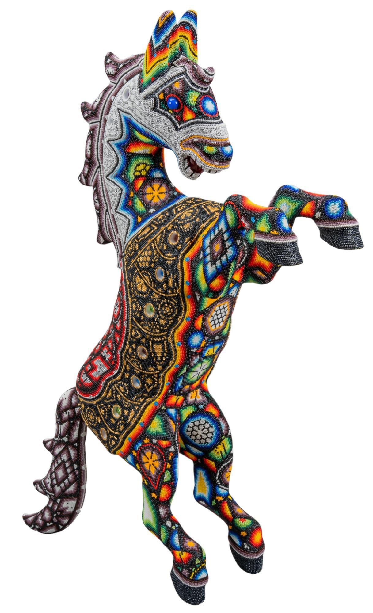 CHROMA, Wonder Horse (1 of 7)