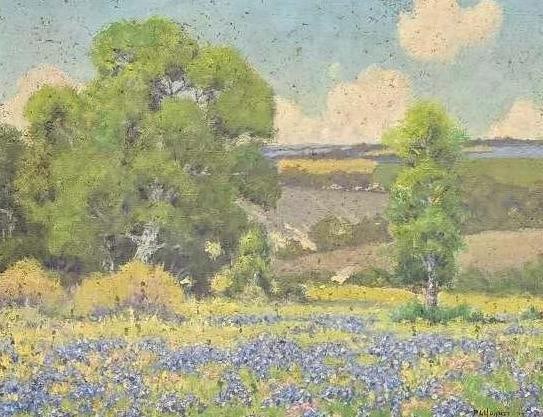 Peter Lanz Hohnstedt, Bluebonnets (1 of 2)