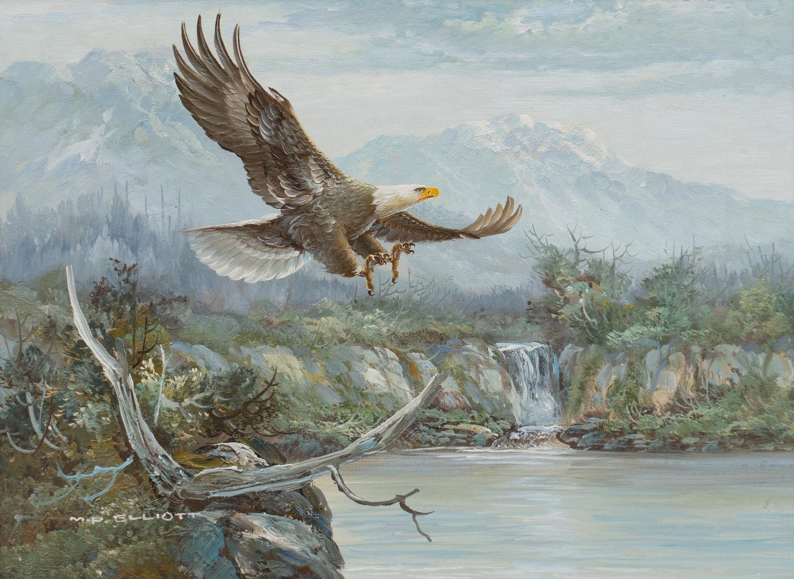 M. P. Elliott, Bald Eagle: M. P. Elliott, bald eagle coasting to land on branch, oil on canvas sight: 12 x 16 in., frame: 19 x 23 in. Shipping available for this lot through our partner 4CL; please request a shipping quote at s