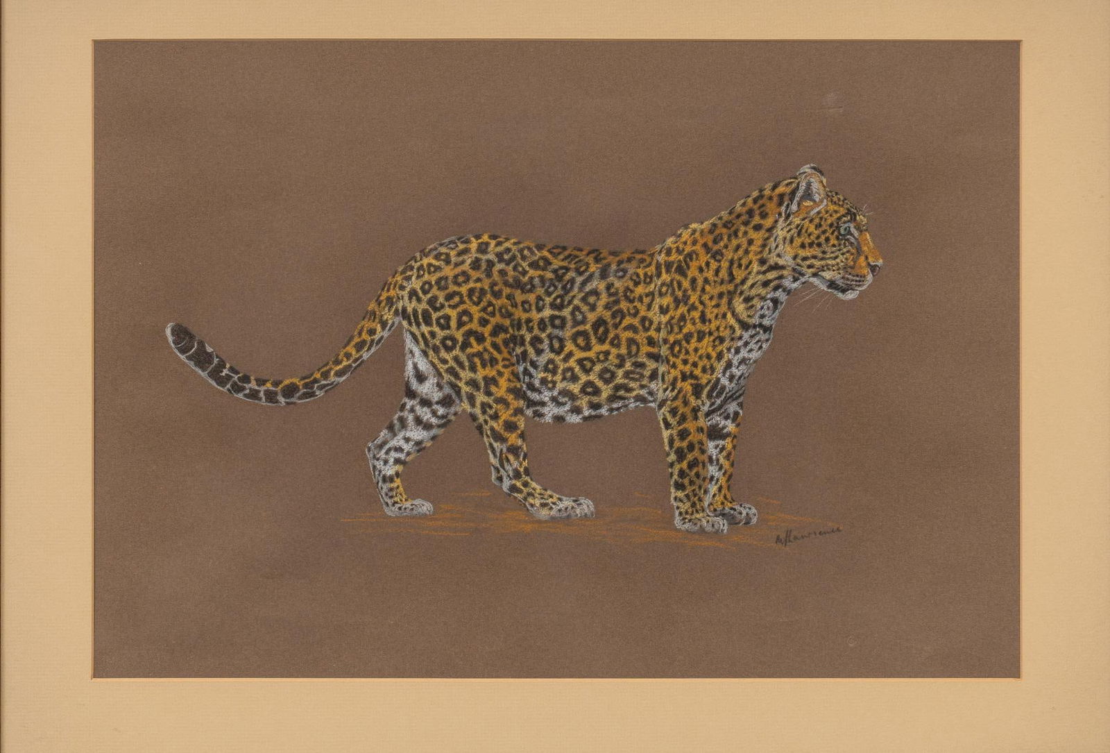 John Lawrence, "Leopard", 1975 (1 of 5)