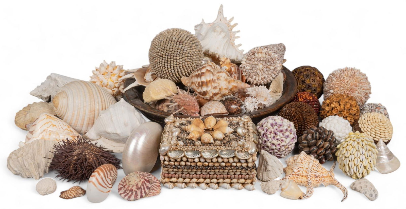 Collection of Seashells and Jewelery Box (1 of 10)