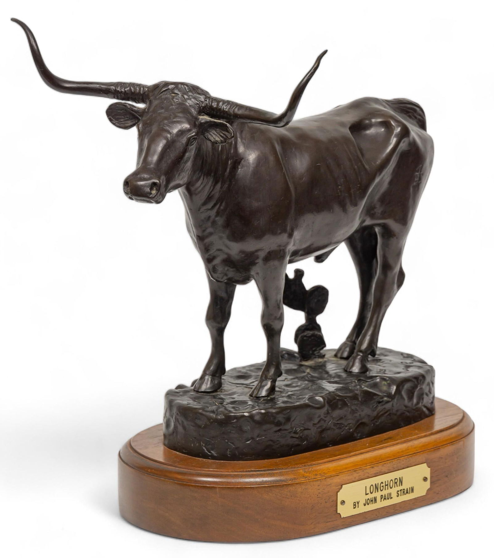 John Paul Strain, "Longhorn" (1 of 9)