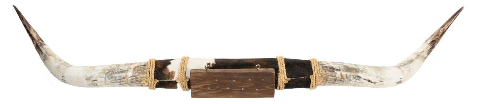 Longhorn Horn Wall Mount (1 of 3)