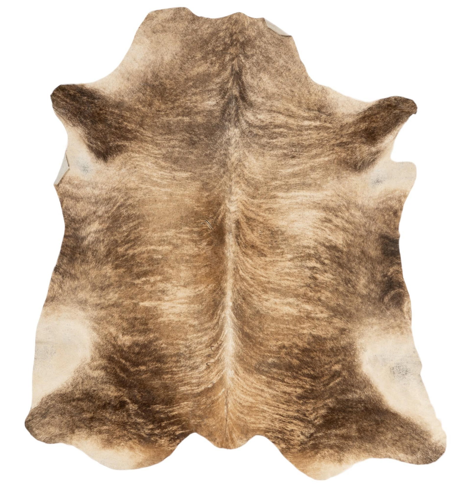 Brown Cowhide Rug: Brown cowhide rug 6 ft. 4 in. x 6 ft. 3 in. Shipping available for this lot through our partner 4CL; please request a shipping quote at shipping@vogtauction.com or 210-971-5750. You may also opt f