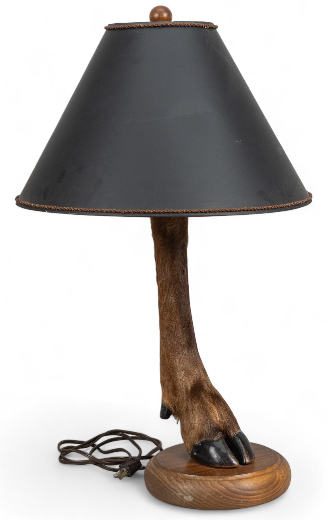 Animal Hoof Lamp (1 of 5)