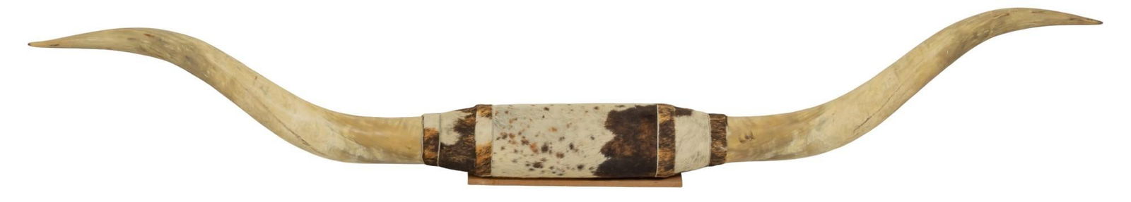 Longhorn Horn Mount (1 of 6)
