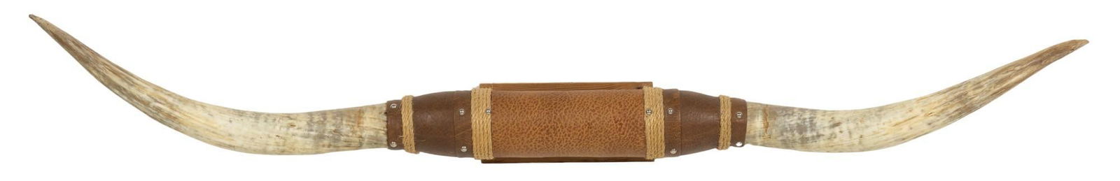 Longhorn Horns Mount (1 of 5)