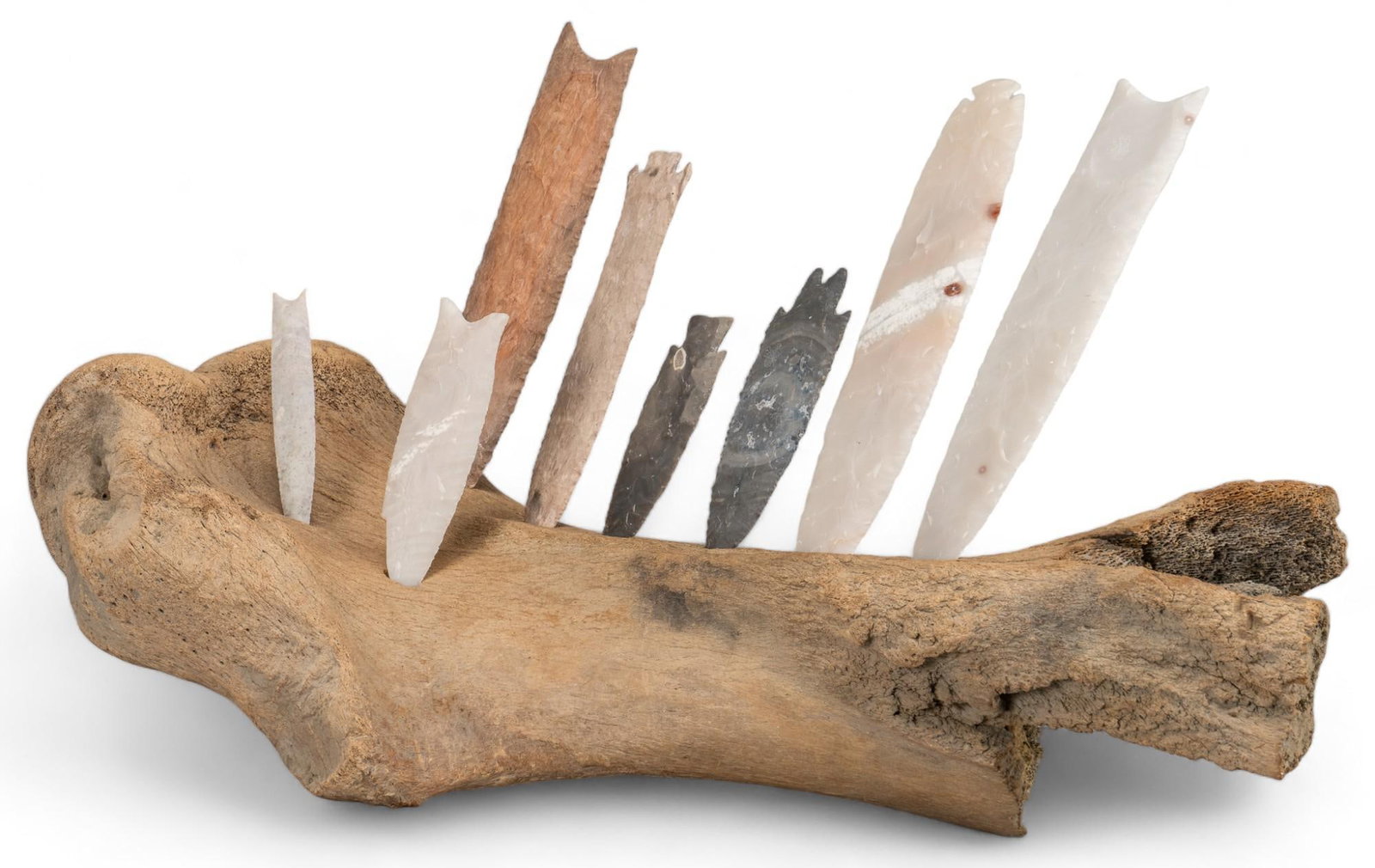 Fossilized Fibula Bone and Primitive Blades: Collection of primitive blades of various material types, placed within fossilized fibula bone of unknown animal height 8.5 in. x width 11 in. x depth 30 in. Provenance: Property from the monumental l
