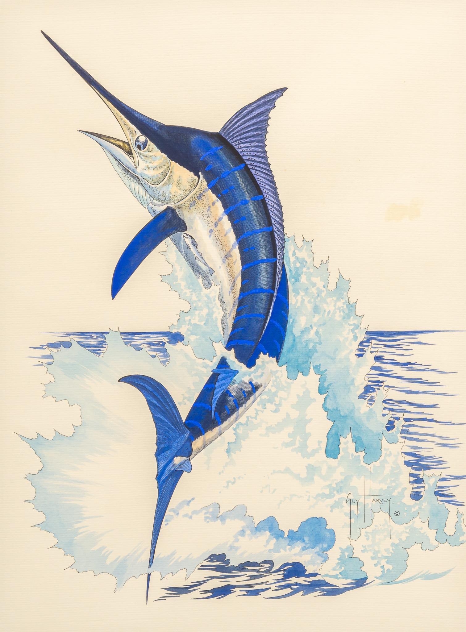 Guy Harvey, Sailfish (1 of 4)
