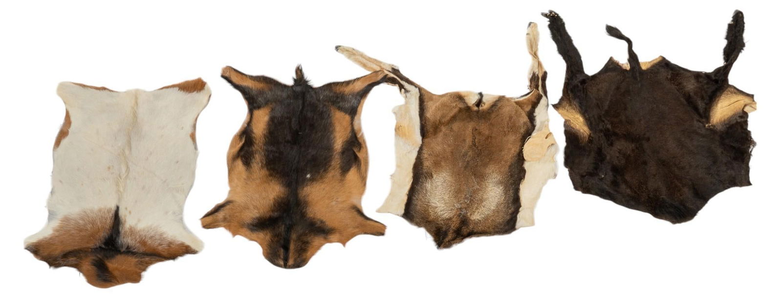 Collection of 4 Goat Pelts (1 of 9)