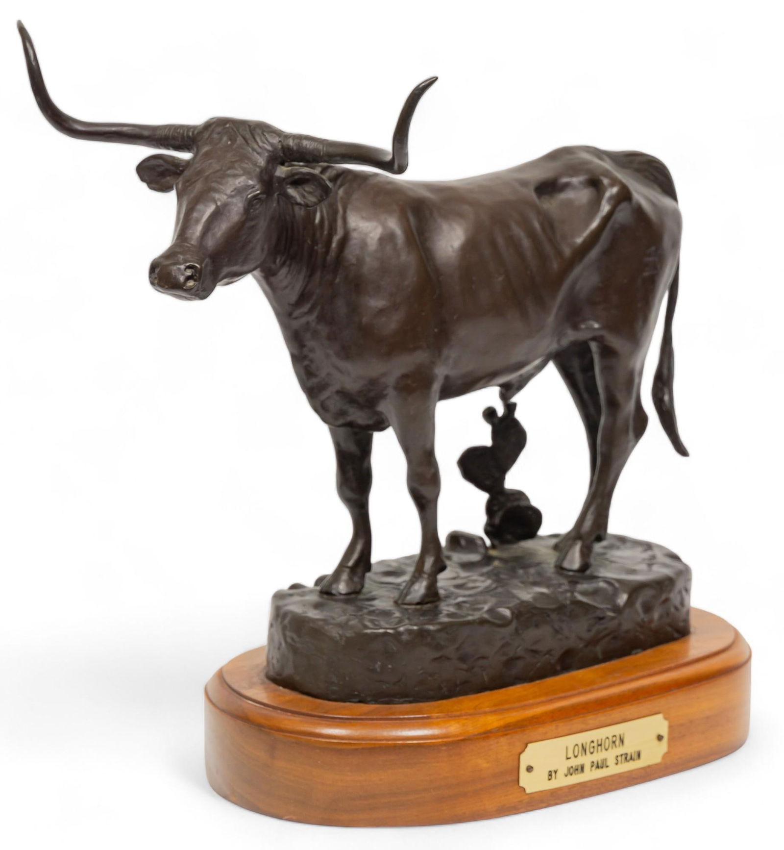 John Paul Strain, "Longhorn" (1 of 8)