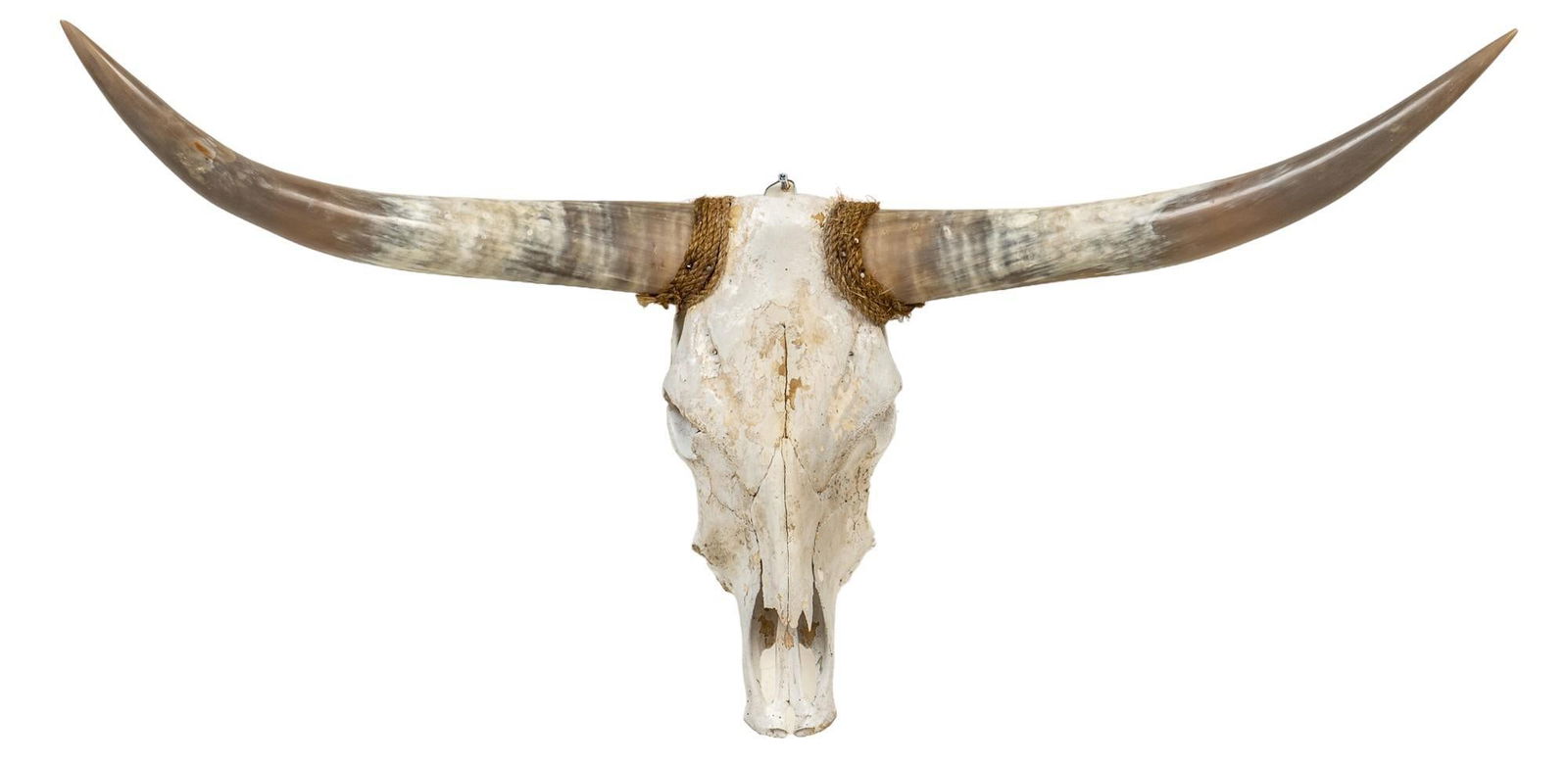 Longhorn Skull Mount (1 of 5)