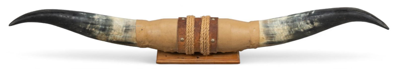 Longhorn Horn Mount (1 of 6)