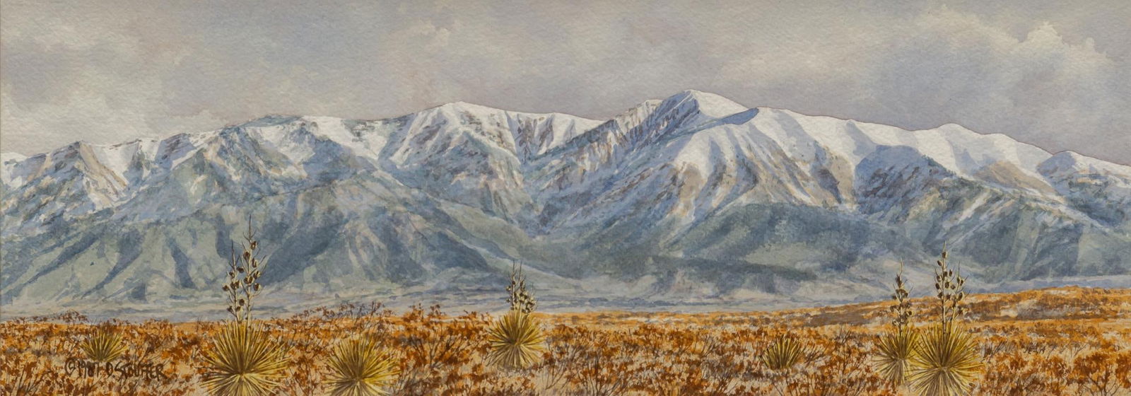 Dan Stouffer, Yucca Landscape (1 of 5)