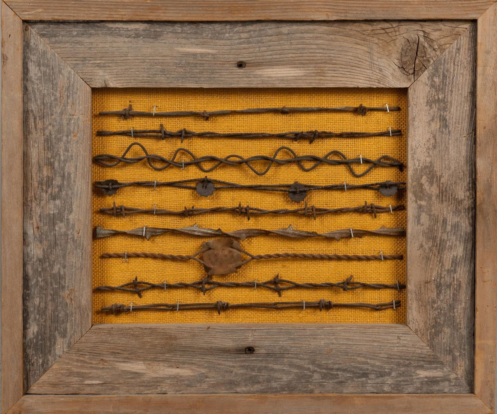 Framed Barbed Wire (1 of 7)