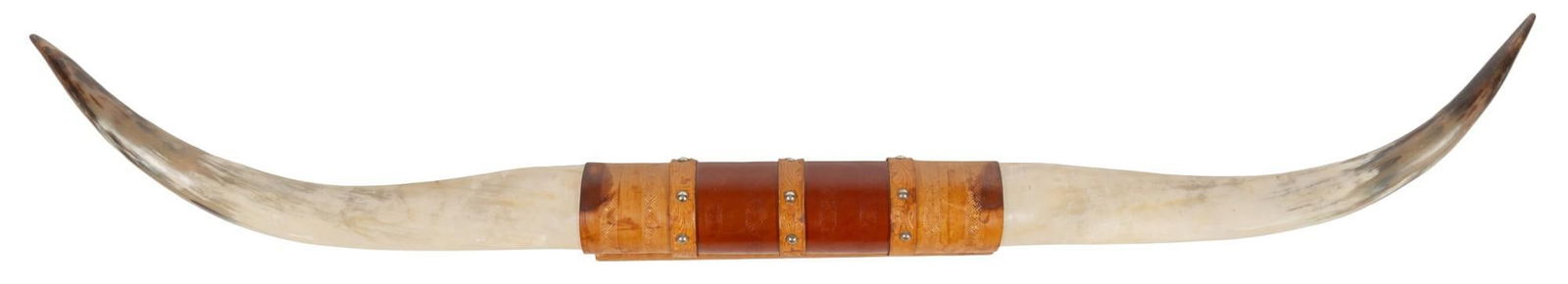 Longhorn Horn Mount (1 of 4)