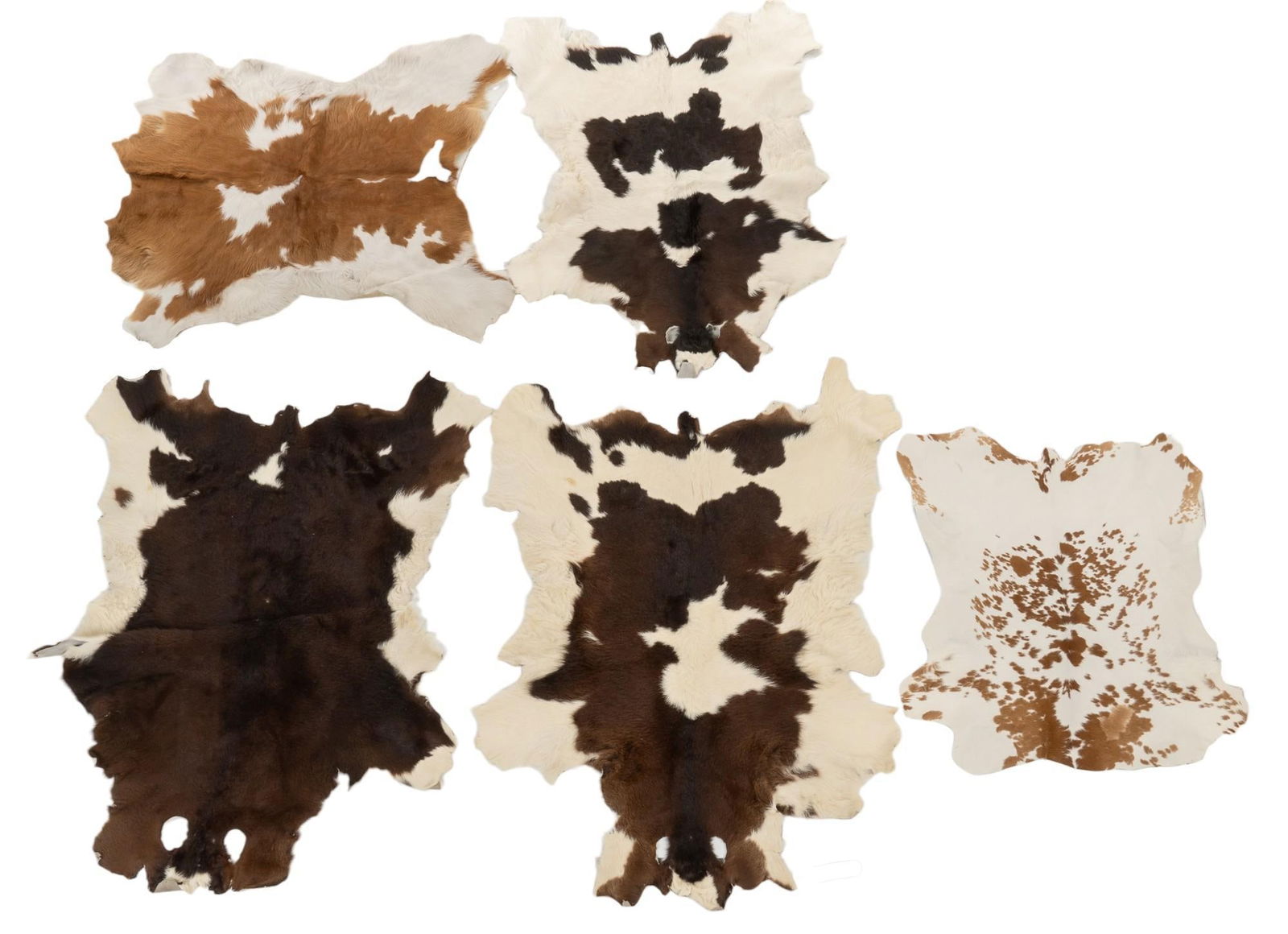 Collection of (5) Animal Hides (1 of 11)