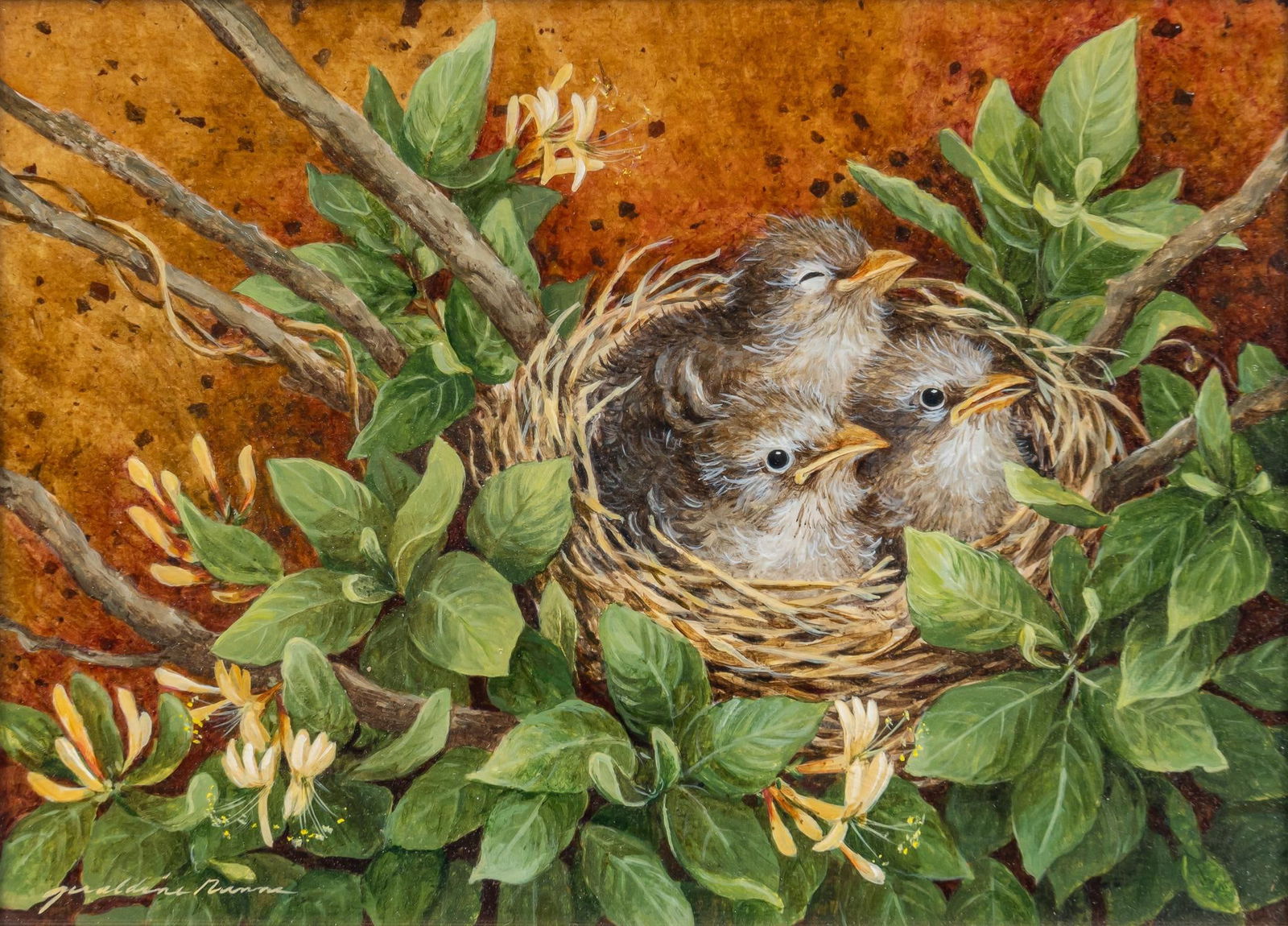 Geraldine Nunns, Baby Birds in Honeysuckle (1 of 4)