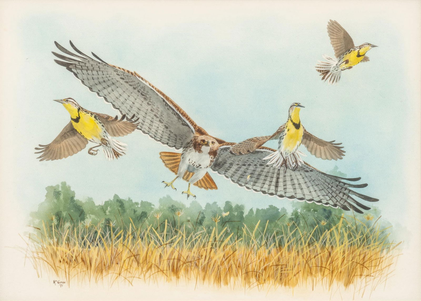 Nancy McGowan, Swooping Hawk and Yellow Birds, 1971 (1 of 4)