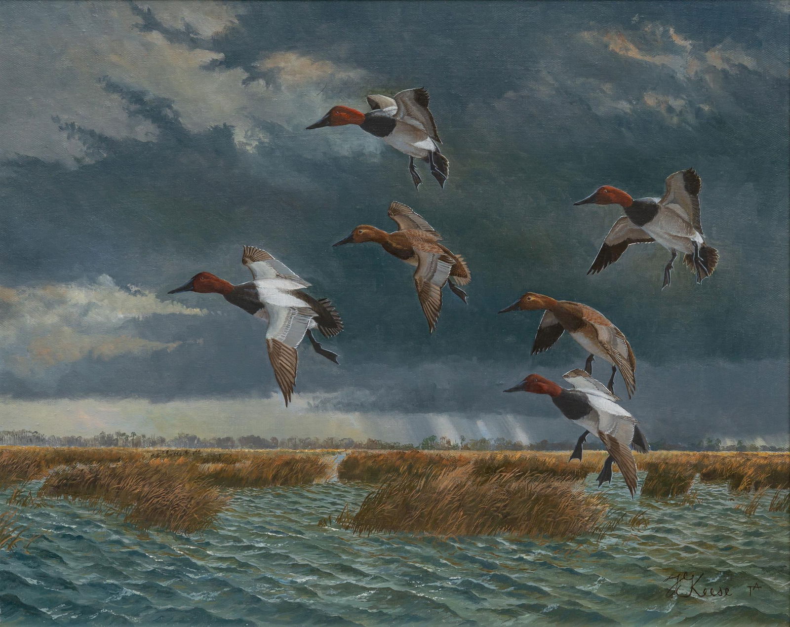 Travis Keese, Canvasbacks and Rainstorm (1 of 4)