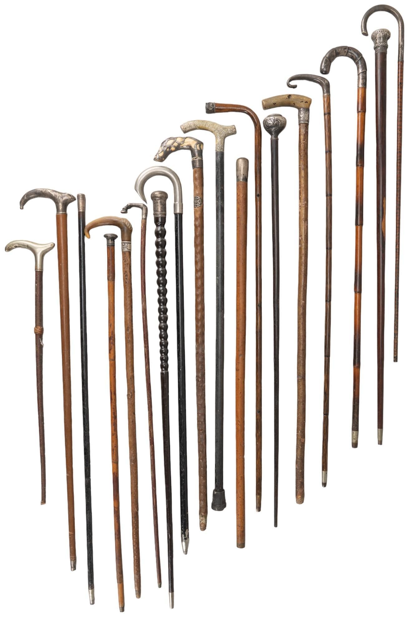 (18) Walking Sticks (1 of 8)