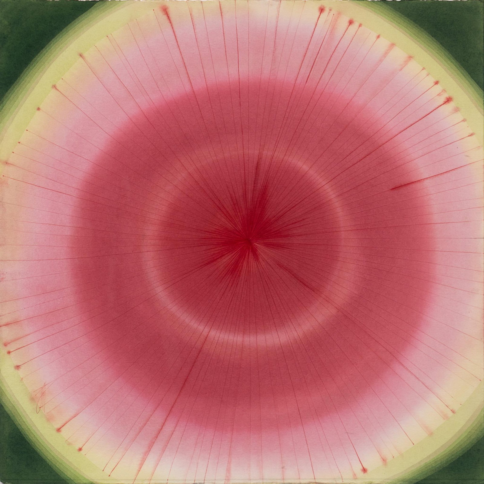 Jan Heaton, "Watermelon Radish", 2016: Jan Heaton (Texas, 20th-21st C.), "Watermelon Radish", 2016, watercolor on artist paper sight: 22 x 22 in., frame: 28.5 x 28.5 in. Provenance: Property from the home of a San Antonio, Texas la